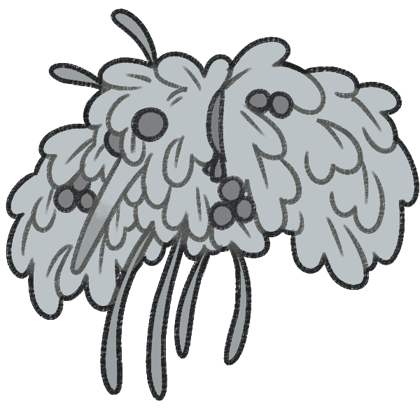Cupidfly